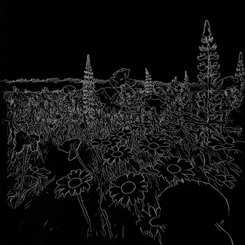 视频转线稿 / Canny